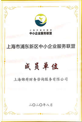 上海錦荷財務(wù)咨詢服務(wù) 專業(yè)引領(lǐng)，助您穩(wěn)健前行