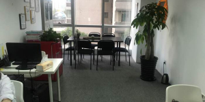 上海櫻本投資咨詢 專業(yè)服務(wù)，賦能企業(yè)戰(zhàn)略與資本決策